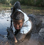 Great recipes to help you get out of the marshes