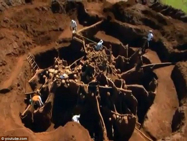 'Great Wall' of ants