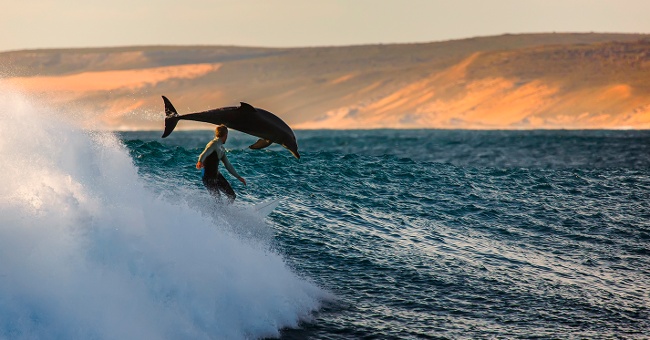 Great with 21 super beautiful photos without photoshop