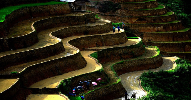 Great work terraced fields Hoang Su Phi water season