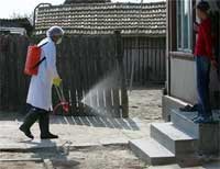 Greece announced measures against bird flu