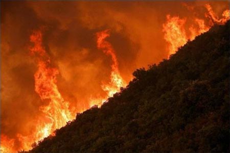 Greece: intense forest fires