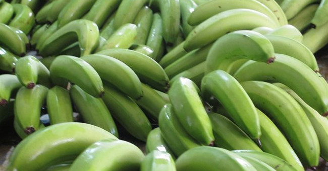 Green bananas and 13 good health effects you don't know