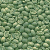 Green coffee helps to lose weight