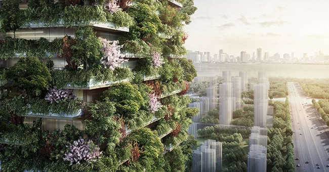 Green woods are about to emerge in China