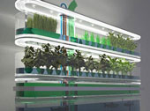 Grow vegetables and raise fish in the kitchen