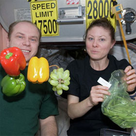 Growing and harvesting vegetables on international space station