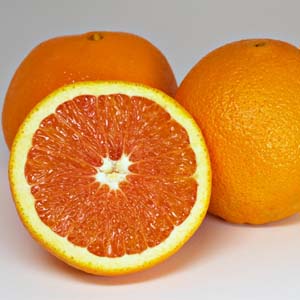 Growing high quality Cara carat oranges in hilly land