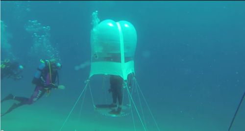 Growing vegetables in a greenhouse under the sea
