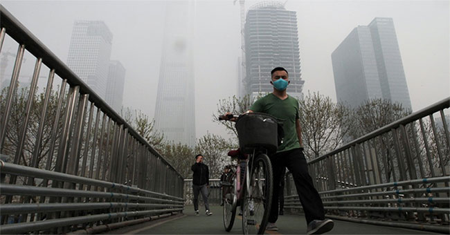 Growing wild plants, Beijing turned into a huge pollution trap?