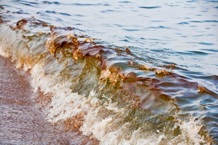 Gulf of Mexico 'diving'