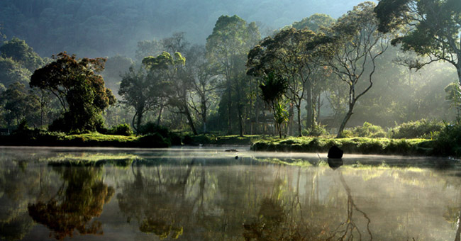 Gunung Mulu National Park