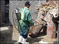 H5N1 deformed in Egypt