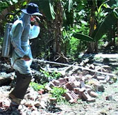 H5N1 flu appears in poultry in Ninh Thuan