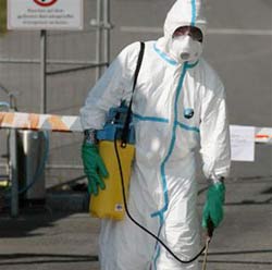 H5N1 recurred in Germany