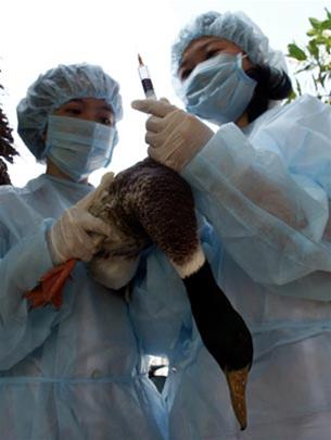 H5N1 virus has a genetic variation