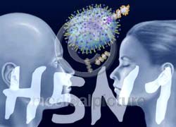 H5N1 virus is evolving