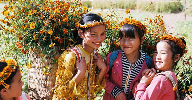 Ha Giang yellow sunshine in the early winter days