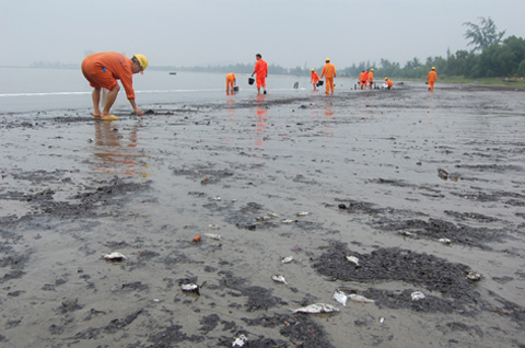 Ha Long Bay is the most polluted oil in the country