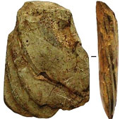 Hà Tĩnh: Detecting many stone tools over 4000 years