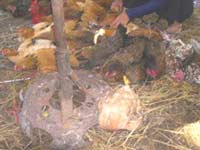 Hai Phong and Ninh Binh announced the epidemic
