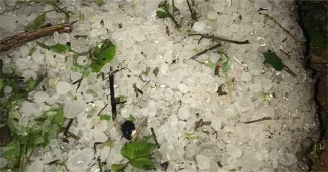 Hail in Lai Chau damaged more than 1,000 houses