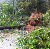 Haiyan storm left Vietnam, at least 13 people died