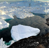 Half of the cause of Greenland warming is natural