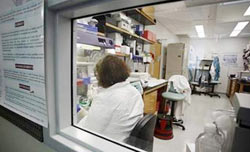 Half of the US population needs to be vaccinated against influenza A / H1N1