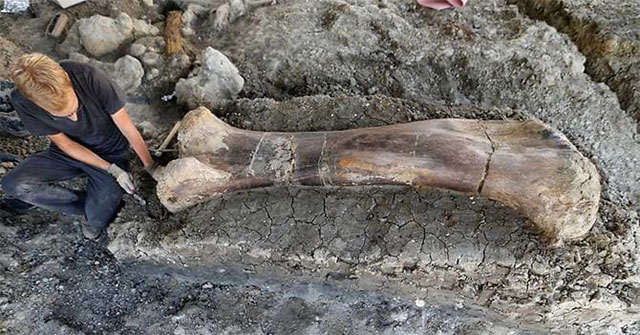 Half-toned femur revealed a prehistoric 'super monster'