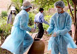 Hanoi: Start with abnormal dead poultry