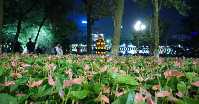 Hanoi street jubilantly welcomes Binh Than Tet