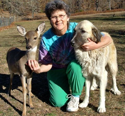 Happy couples with different species