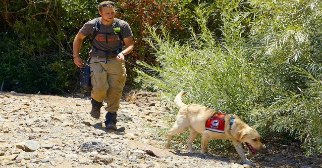 Happy 'special dog' specializes in hunting ... ants