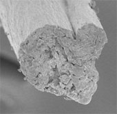 Hard biodegradable yarn like steel made of wood cellulose