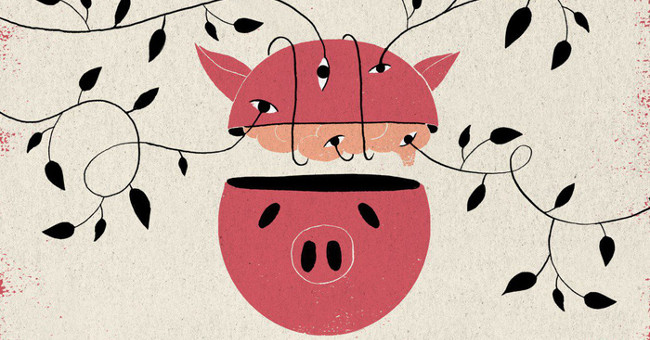 Has the pig brain kept living outside the body?