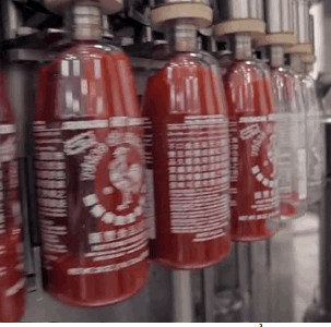 Have eyes on impressive production processes