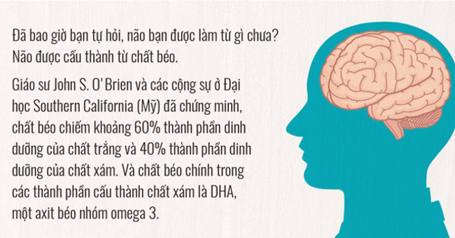 Have you ever asked what brain is made of?