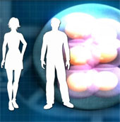 He approached the fertilization from three people's DNA