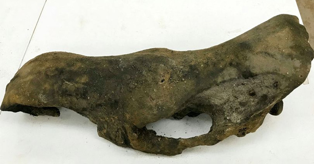 He: Going to make roads, discovering the rare and precious creatures of 13,000 years old