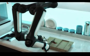 He successfully created the chef robot