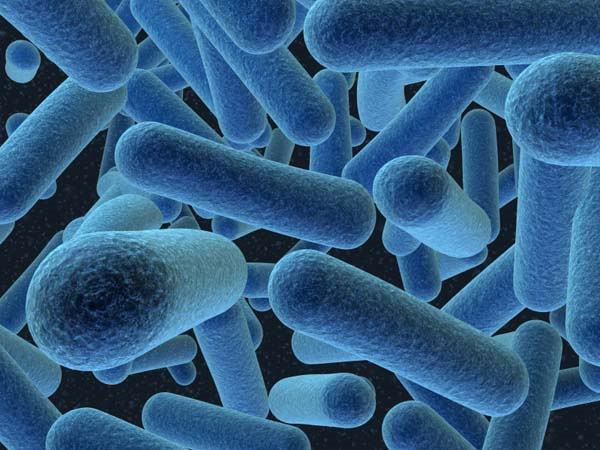 He uses bacteria to create electricity