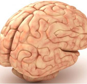 Heal brain damage with new materials