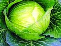 Healing with cabbage juice