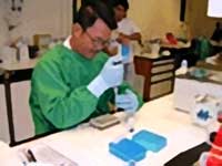 Healing with umbilical cord blood