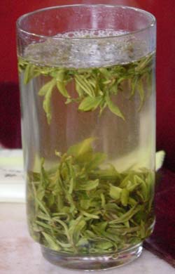 Healthy with green tea