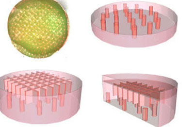 Healthy wound by artificial tissue