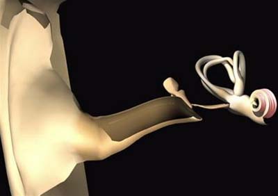 Hearing aids help increase hearing ability by 50%