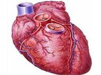 Heart failure: Things to know