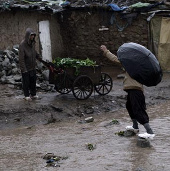 Heavy rain in Pakistan killed 34 people